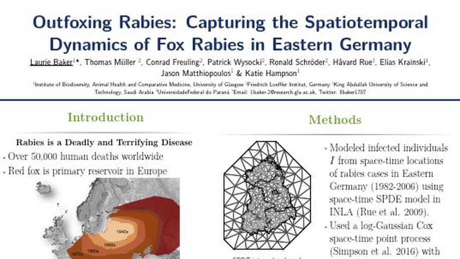 Outfoxing Rabies Capturing the spatiotemporal dynamics of fox rabies in Eastern Germany.